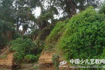 傣族象脚鼓舞：动作从傣族武术套路里衍生出来