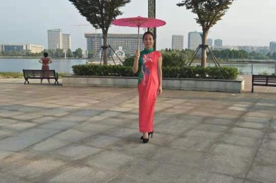 如何下载广场舞视频？