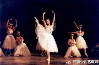 2014年第15届美国国际青年芭蕾舞大奖赛（YAGP）圆满落幕