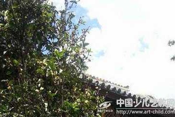 淮阴马灯舞的传承与坚守