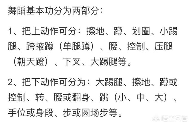舞蹈生有哪些基本功？